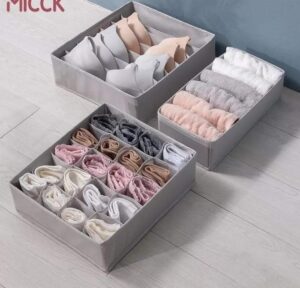 3in1 undergarments organizer