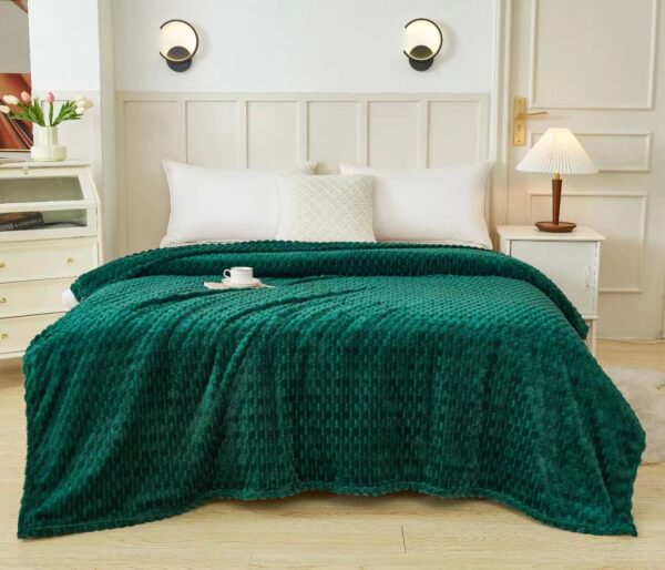 Fleece blanket (6*7)