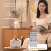 1000320815 Volcano Humidifier