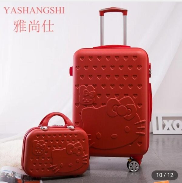 2 in 1 Travel suitcase