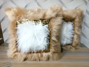 IMG-20240729-WA0235 Gold chiwawa cases