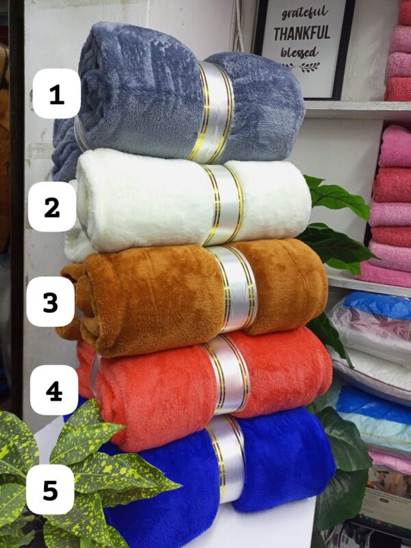 IMG-20240821-WA0140 Coral fleece throw blankets