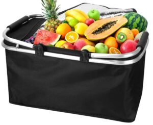 foldable insulated portable bag