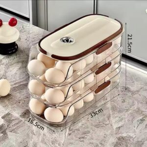 IMG-20250104-WA0079 Egg Storage box/Egg Tray