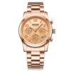 IMG-20250128-WA0885 MEGIR CHRONOGRAPH WATCH