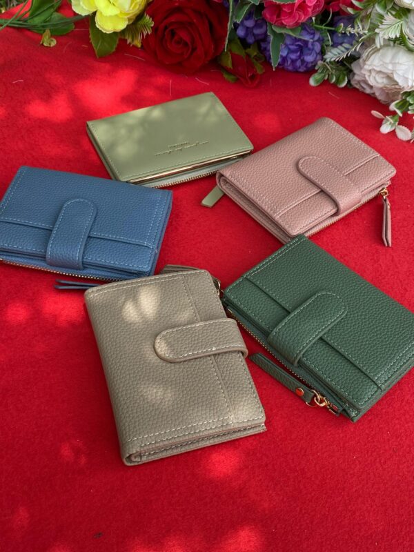 IMG-20250203-WA0510 LADIES WALLET WITH ZIP