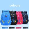 IMG_20210109_115426_9271.jpg School bag