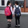 IMG_20210109_115426_9331.jpg School bag