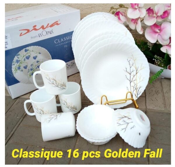 IMG_20231011_205332_868.jpg 16 pcs Dinner set