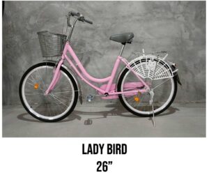 Screenshot_2024-01-30-21-11-45-65_948cd9899890cbd5c2798760b2b95377.jpg Lady bird bike 26"